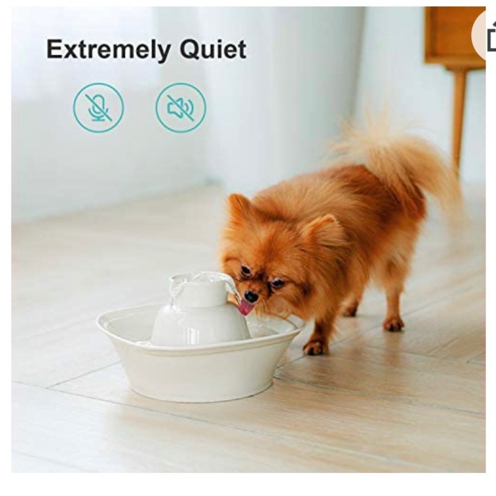Pet fountain & filters